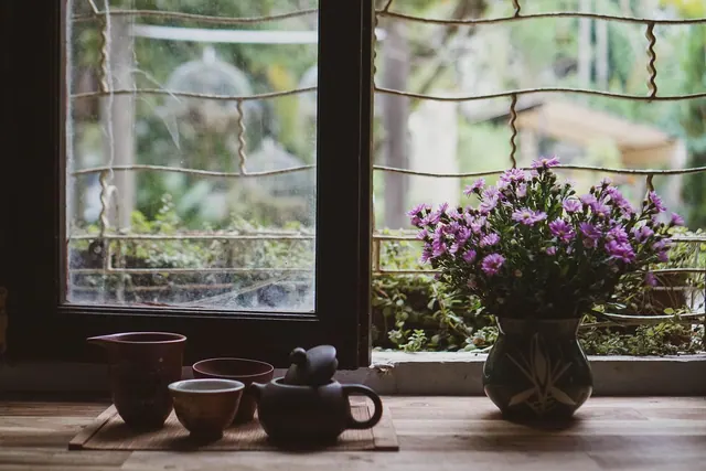 tea, teacup, flower wallpaper, flowers, nature, vase, flower background, warm tea, cup, tea ceremony, tea cup, asters, beautiful flowers, decorate, windows, peaceful