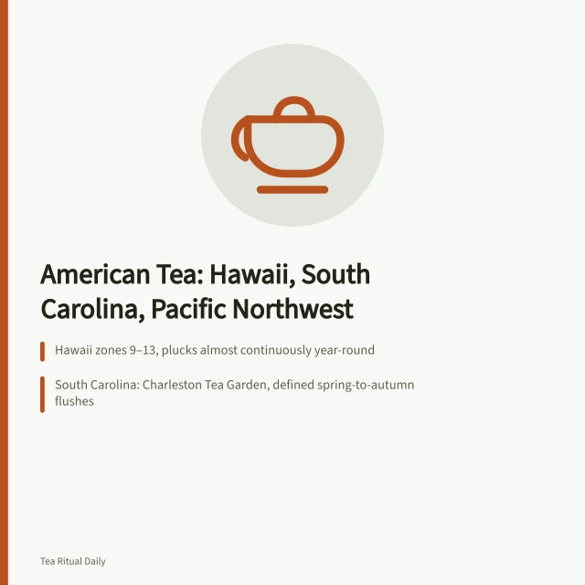 Map-like comparison of three American tea growing regions and their climates. American-grown tea compared: Hawaii, South Carolina and the Pacific Northwest