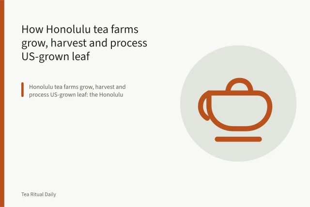 Hand plucking tea leaves on a Honolulu farm. How Honolulu tea farms grow, harvest and process US-grown leaf