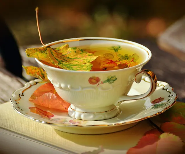 tea, teacup, fall, autumnal, autumn colors, autumn leaves, dishes, builds, garden, porcelain, nature, a book, break, teatime