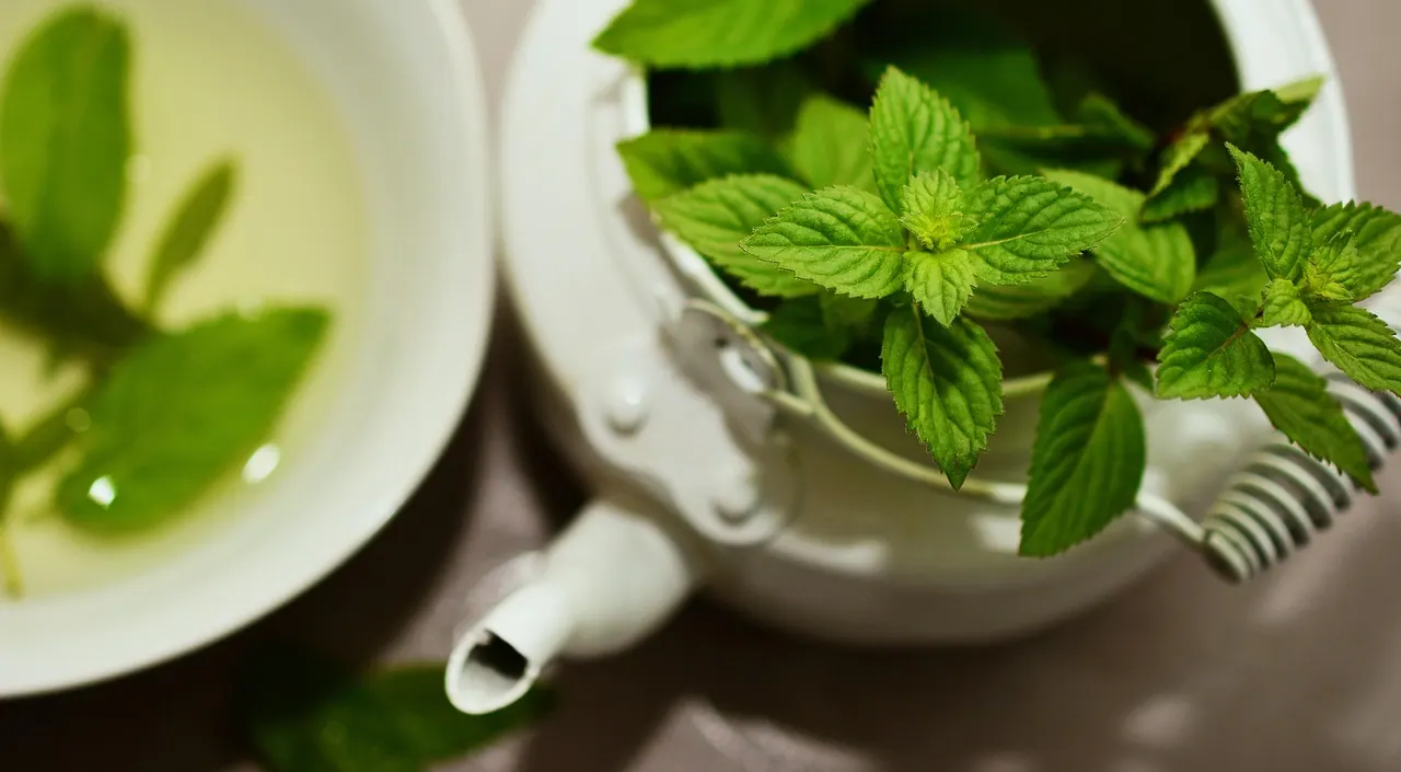 peppermint, medicinal plant, medicinal herbs, mint, tea herbs, scented herb, aroma, peppermint tea, herbal plant, culinary herbs, healthy, taste, herbs, green mint, drink, teapot,. How to taste your own brewing mistakes side by side