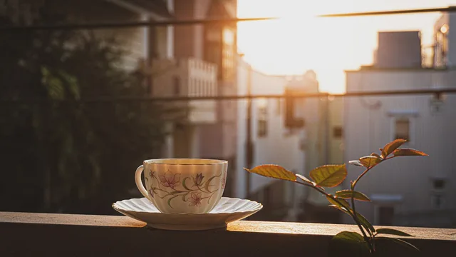 tea, cup, leaves, balcony, sunrise, tea cup, cup of tea, tea green, drinking tea, nature. Tea Subscription Boxes Cost Per Cup: How to Calculate