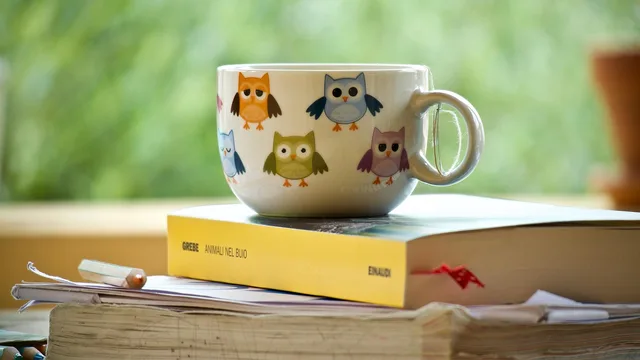 herbal tea, cup, tea cup, tea, relax, drinks, books, reading, education, student, food, school, boys, decorations, instruction. Why pack instructions for tea tasting are a floor, not an optimum