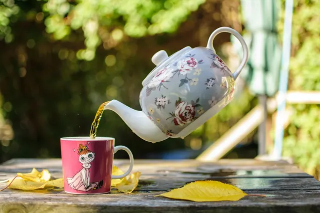 tea, teapot, pour, cup, drink, teacup, tea cup, porcelain, fall, autumn, autumn leaves, leaves, outdoors, nature, bokeh, closeup