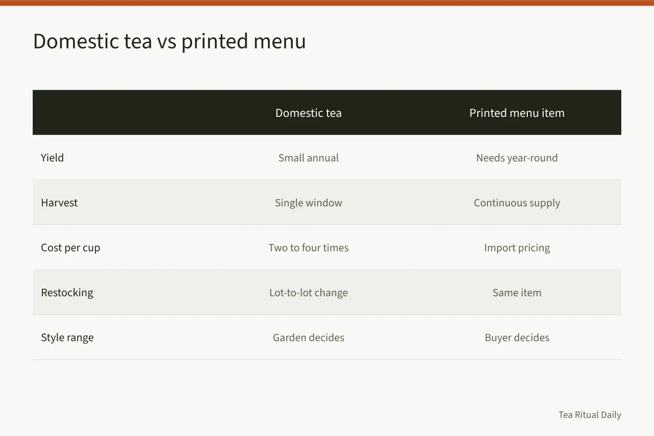 Comparison table of domestic tea constraints against a printed menu item (Why American tea brands work better as a special than a fixed list)